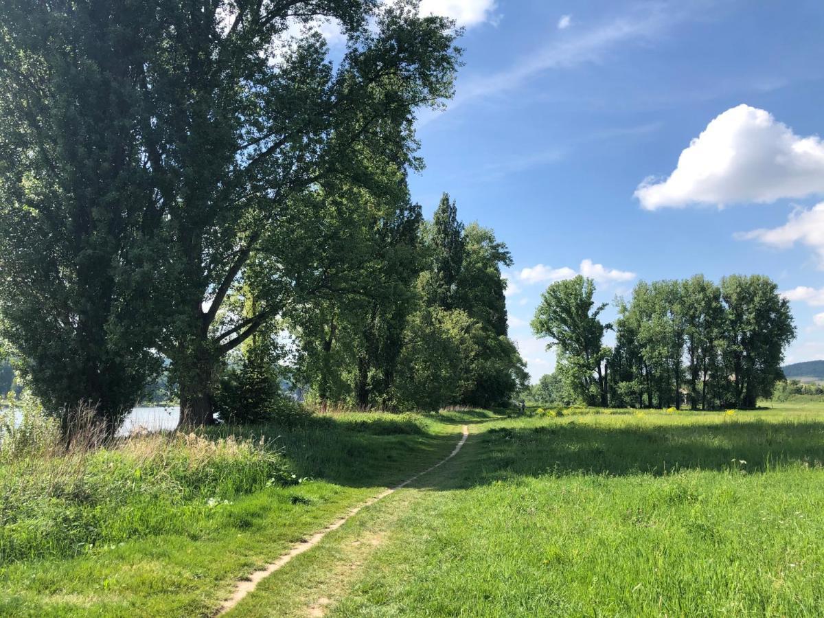 T&T Ferienwohnung Rheinbrohl Екстериор снимка
